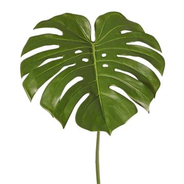 Foglia decorativa Philodendron Monstera Deliciosa THALWIL, 60 cm Foglia decorativa Philodendron Monstera Deliciosa THALWIL, 60 cm