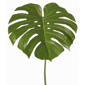 Foglia decorativa Philodendron Monstera Deliciosa THALWIL, 60cm Foglia decorativa Philodendron Monstera Deliciosa THALWIL, 60cm