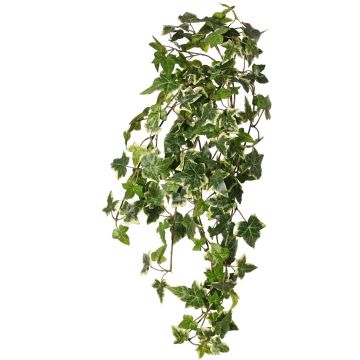 Edera sintetica pendente ARJANA, bastoncino, difficilmente infiammabile, verde-bianco, 75cm Edera sintetica pendente ARJANA, bastoncino, difficilmente infiammabile, verde-bianco, 75cm