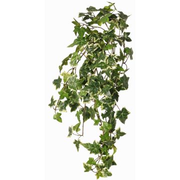 Edera sintetica pendente ARJANA, bastoncino, difficilmente infiammabile, verde-bianco, 75cm Edera sintetica pendente ARJANA, bastoncino, difficilmente infiammabile, verde-bianco, 75cm