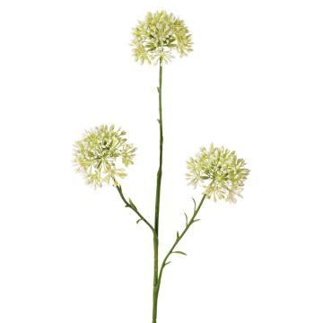 Allium artificiale ALIKIO, bianco, 65 cm, Ø 7 cm