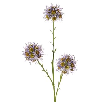 Ramo decorativo di Allium ZEBU, viola, 65 cm, Ø 7 cm Ramo decorativo di Allium ZEBU, viola, 65 cm, Ø 7 cm