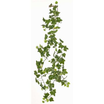 Ghirlanda di edera artificiale TILL, crossdoor, verde-bianco, 205cm Ghirlanda di edera artificiale TILL, crossdoor, verde-bianco, 205cm