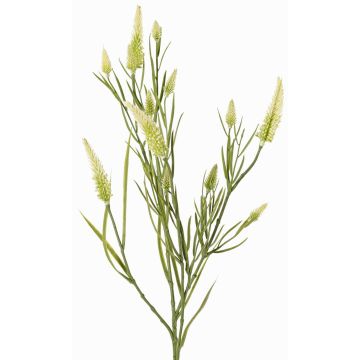 Ramo artificiale di trifoglio EUTIN con fiori, bianco-verde, 80 cm, Ø 1,5-2 cm