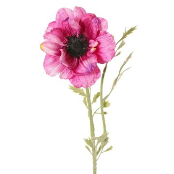 Fiore artificiale Anemone OKAPI, rosa-rosa shocking, 55 cm, Ø 10 cm Fiore artificiale Anemone OKAPI, rosa-rosa shocking, 55 cm, Ø 10 cm