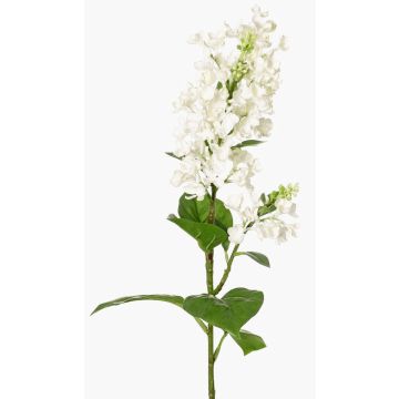 Ramo di lillà artificiale ADMIR, bianco, 80cm, Ø6-9cm Ramo di lillà artificiale ADMIR, bianco, 80cm, Ø6-9cm