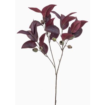 Ramo di eucalipto artificiale VIZIMIR con frutti, rosso bordeaux, 80 cm Ramo di eucalipto artificiale VIZIMIR con frutti, rosso bordeaux, 80 cm