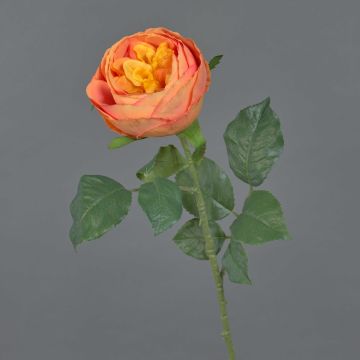 Rosa cavolo artificiale VANNI, arancione, 60 cm, Ø 9 cm Rosa cavolo artificiale VANNI, arancione, 60 cm, Ø 9 cm