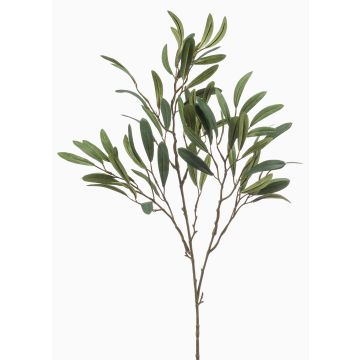 Ramo decorativo di ulivo RIGELIO, 80cm Ramo decorativo di ulivo RIGELIO, 80cm