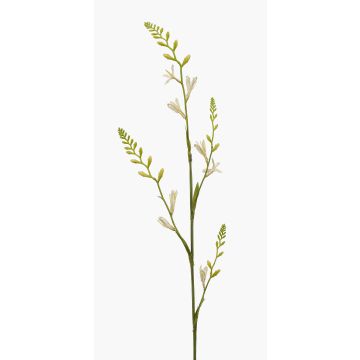 Fiore artificiale di montbretia KATHERYN, color crema, 90 cm