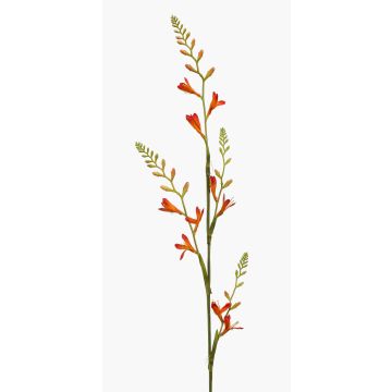 Fiore artificiale Montbretia KATHERYN, rosso-arancione, 90 cm Fiore artificiale Montbretia KATHERYN, rosso-arancione, 90 cm