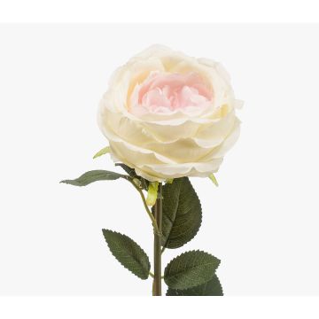 Rosa artificiale THYRI, rosa crema, 65 cm, Ø 10 cm Rosa artificiale THYRI, rosa crema, 65 cm, Ø 10 cm