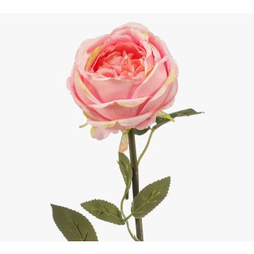 Rosa artificiale THYRI, rosa, 65 cm, Ø 10 cm Rosa artificiale THYRI, rosa, 65 cm, Ø 10 cm