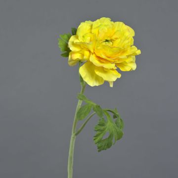 Ranuncolo artificiale KRISTY, giallo, 60 cm, Ø 10 cm Ranuncolo artificiale KRISTY, giallo, 60 cm, Ø 10 cm
