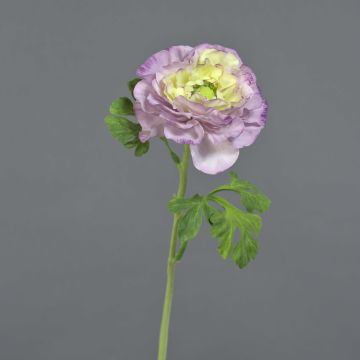 Ranuncolo artificiale KRISTY, viola-crema, 60 cm, Ø 10 cm Ranuncolo artificiale KRISTY, viola-crema, 60 cm, Ø 10 cm