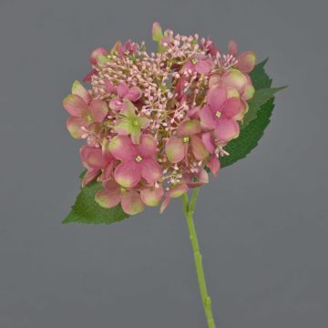Ortensia artificiale CALESA, rosa antico-verde, 50 cm, Ø 15 cm Ortensia artificiale CALESA, rosa antico-verde, 50 cm, Ø 15 cm