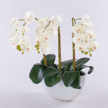 Orchidea Phalaenopsis sintetica JASMIN in vaschetta di ceramica, bianca, 40 cm Orchidea Phalaenopsis sintetica JASMIN in vaschetta di ceramica, bianca, 40 cm