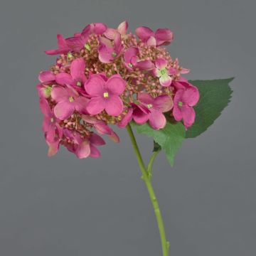 Ortensia artificiale CALESA, rosa shocking, 50 cm, Ø 15 cm Ortensia artificiale CALESA, rosa shocking, 50 cm, Ø 15 cm