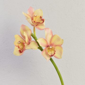 Ramo decorativo di orchidea Cymbidium SERAPHINA, giallo-rosa, 45 cm, Ø 10-13 cm Ramo decorativo di orchidea Cymbidium SERAPHINA, giallo-rosa, 45 cm, Ø 10-13 cm