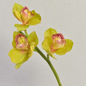 Ramo decorativo di orchidea Cymbidium SERAPHINA, verde-rosa, 45 cm, Ø 10-13 cm