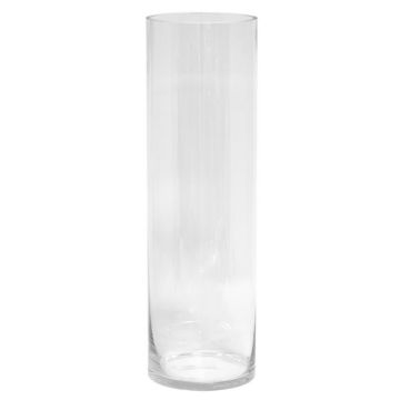 Vaso da terra cilindrico in vetro SANSA OCEAN, trasparente, 50 cm, Ø 15 cm Vaso da terra cilindrico in vetro SANSA OCEAN, trasparente, 50 cm, Ø 15 cm