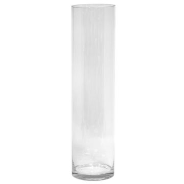 Vaso da terra cilindrico in vetro SANSA OCEAN, trasparente, 60 cm, Ø 14,9 cm Vaso da terra cilindrico in vetro SANSA OCEAN, trasparente, 60 cm, Ø 14,9 cm