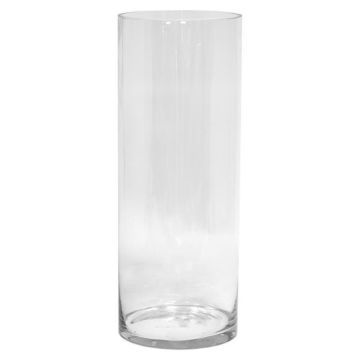 Vaso da terra cilindrico in vetro SANSA OCEAN, trasparente, 60 cm, Ø 20 cm Vaso da terra cilindrico in vetro SANSA OCEAN, trasparente, 60 cm, Ø 20 cm