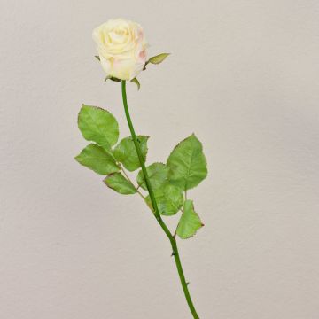Rosa artificiale OPHELIE, rosa crema, 85 cm, Ø 7 cm