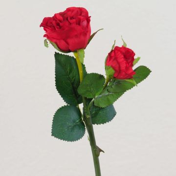 Rosa in velluto QUEENIE, rossa, 30 cm, Ø 3-5 cm Rosa in velluto QUEENIE, rossa, 30 cm, Ø 3-5 cm