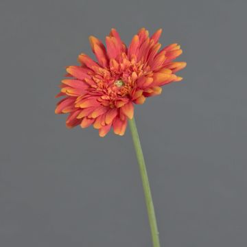 Gerbera artificiale AITANA, arancione, 55 cm, Ø 10,5 cm