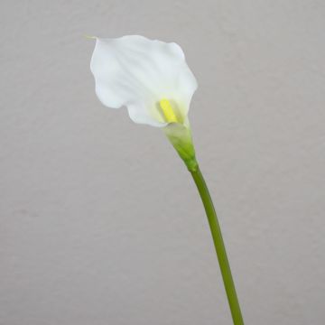 Calla finta PEPITA, bianca, 55cm, 7x11cm