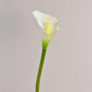 Calla finta SUSANA, bianca, 70cm, 8x12cm