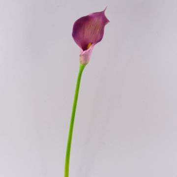 Calla decorativa TERESA, viola, 70cm, 10x18cm