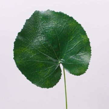 Foglia di geranio sintetica HEIDEGARD, verde, 38cm, Ø14cm