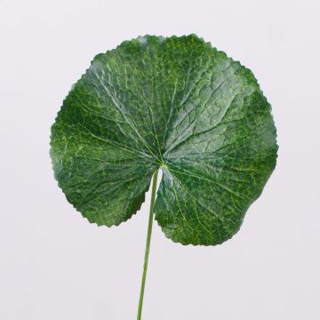Foglia di geranio sintetica HEIDEGARD, verde, 38cm, Ø11cm