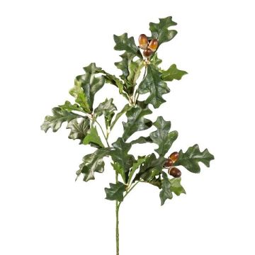 Ramo artificiale di quercia FROLKE con frutti, verde-marrone, 70 cm Ramo artificiale di quercia FROLKE con frutti, verde-marrone, 70 cm