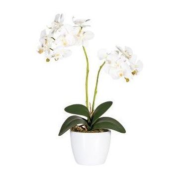 Orchidea Phalaenopsis artificiale FRUXO, bastoncino, radici, bianca, 50 cm Orchidea Phalaenopsis artificiale FRUXO, bastoncino, radici, bianca, 50 cm