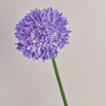Fiore decorativo allio ornamentale LISBETH, lilla, 80 cm, Ø 15 cm Fiore decorativo allio ornamentale LISBETH, lilla, 80 cm, Ø 15 cm
