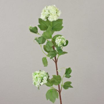 Vitevola artificiale DJAMILA, bianco-verde, 75cm, Ø4-8cm Vitevola artificiale DJAMILA, bianco-verde, 75cm, Ø4-8cm