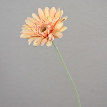 Gerbera artificiale VIRGINIA, rosa crema, 55cm, Ø11cm