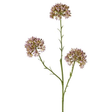 Allium decorativo ALIKIO, viola, 65 cm, Ø 7 cm Allium decorativo ALIKIO, viola, 65 cm, Ø 7 cm