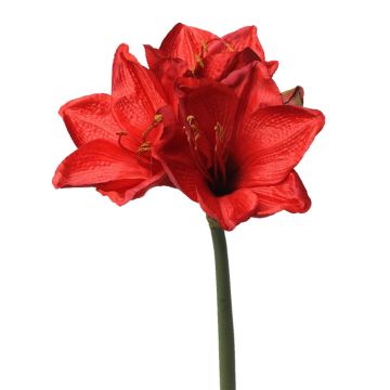 Amaryllis finto BENITA, rosso, 55cm, Ø10cm