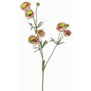Ranuncolo in velluto YARIS, verde-rosa, 65 cm, Ø 3-4,5 cm Ranuncolo in velluto YARIS, verde-rosa, 65 cm, Ø 3-4,5 cm