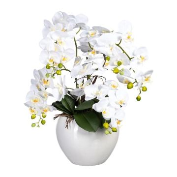 Composizione floreale artificiale con orchidea Phalaenopsis WEMBER, salice a spirale, vaso in ceramica, radici, bianco, 55 cm Composizione floreale artificiale con orchidea Phalaenopsis WEMBER, salice a spirale, vaso in ceramica, radici, bianco, 55 cm