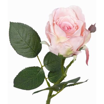 Rosa artificiale VRONI, rosa, 30cm, Ø6cm Rosa artificiale VRONI, rosa, 30cm, Ø6cm