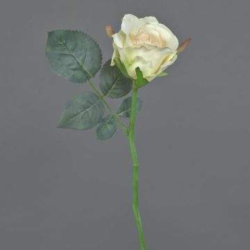 Rosa artificiale ELLI, rosa crema, 30cm, Ø 6cm