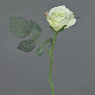 Rosa artificiale ELLI, bianco crema, 30cm, Ø 6cm