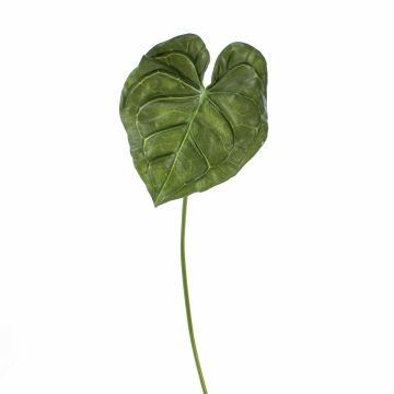 Foglia di anthurium finto LUVINA, verde, 65cm Foglia di anthurium finto LUVINA, verde, 65cm