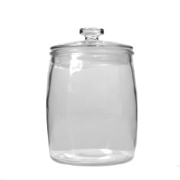 Barattolo di vetro TEHANI, con coperchio, trasparente, 26cm, Ø18cm