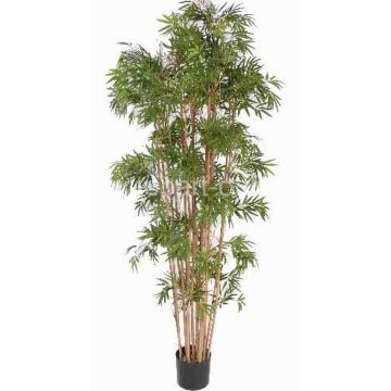 Pianta artificiale di bambù NARO, fusti veri, 150cm Pianta artificiale di bambù NARO, fusti veri, 150cm